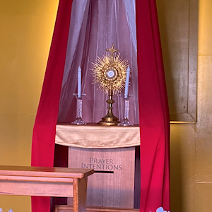 st faustina chapel with 1st class relic 